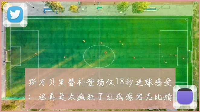 斯万贝里替补登场仅18秒进球感受：这真是太疯狂了让我感觉无比精彩